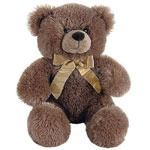 teddy bear - a present for ukrainian girl
